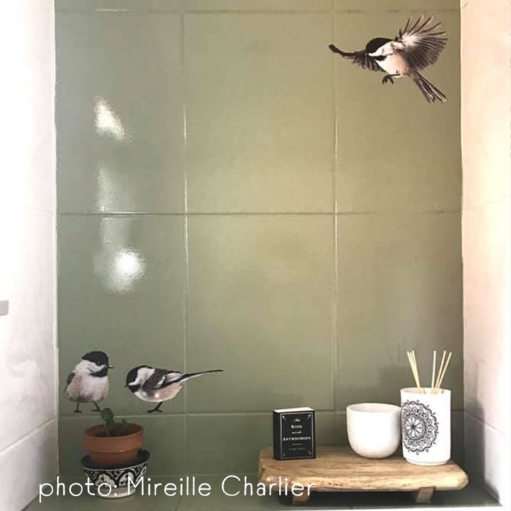 Chickadee Muurstickers - Afbeelding 5