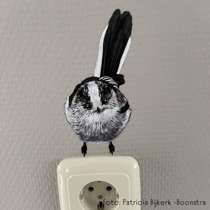Titmouse Wall Stickers - Image 7