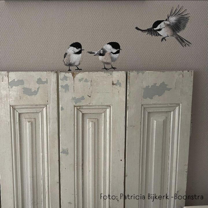 Chickadee Muurstickers - Afbeelding 6