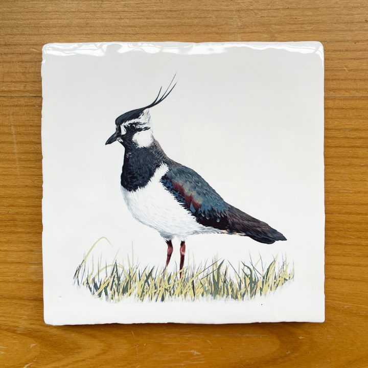 Northern Lapwing - Vintage Style Tile