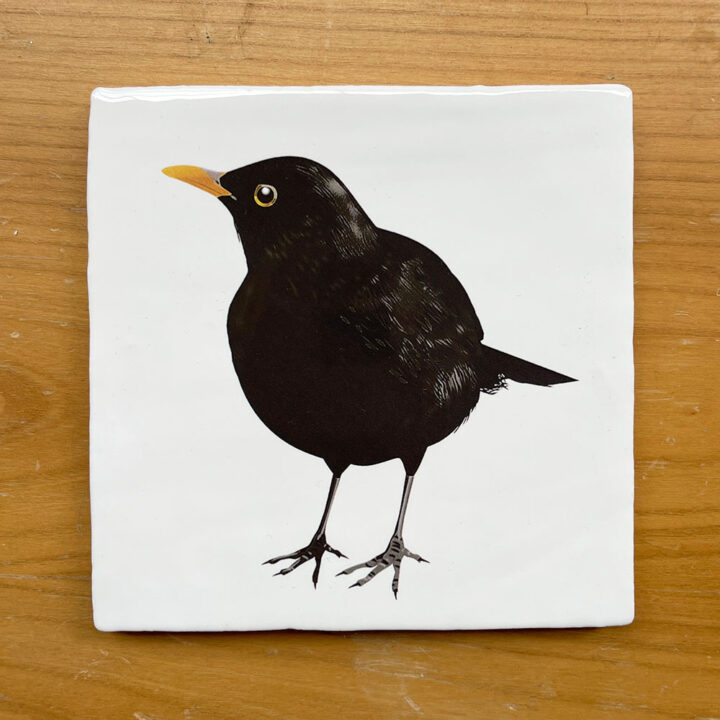 Merel - Tegeltje