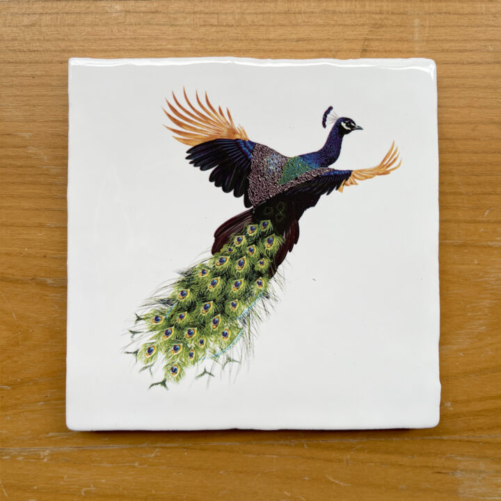 Peacock Vintage Style Tile
