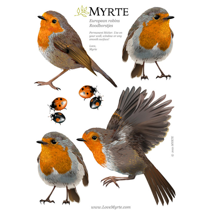 Roodborst muurstickers - Afbeelding 3