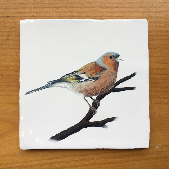 Vink - Tegeltje