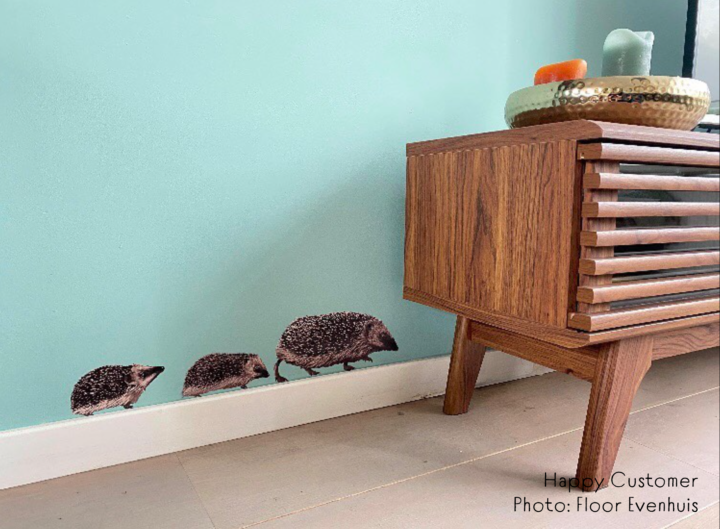 Hedgehog Wall Stickers - Image 5