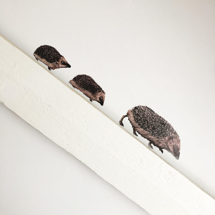 Hedgehog Wall Stickers - Image 2