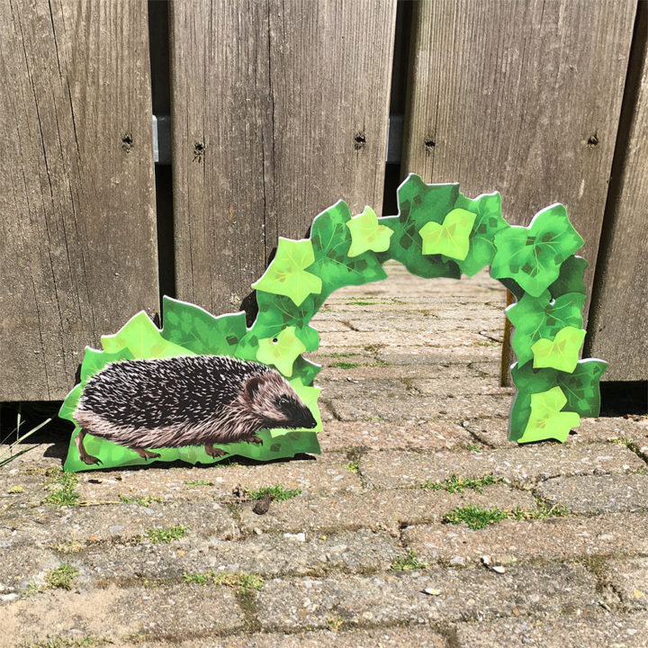 Hedgehog Highway