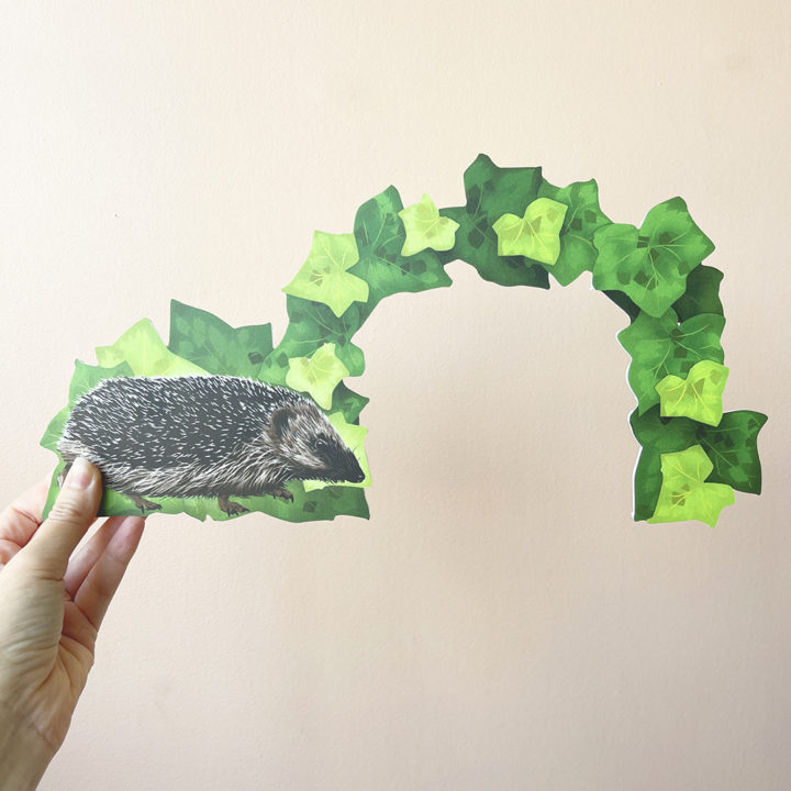 Hedgehog Highway - Image 3