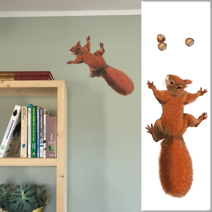 Squirrel Wall Sticker
