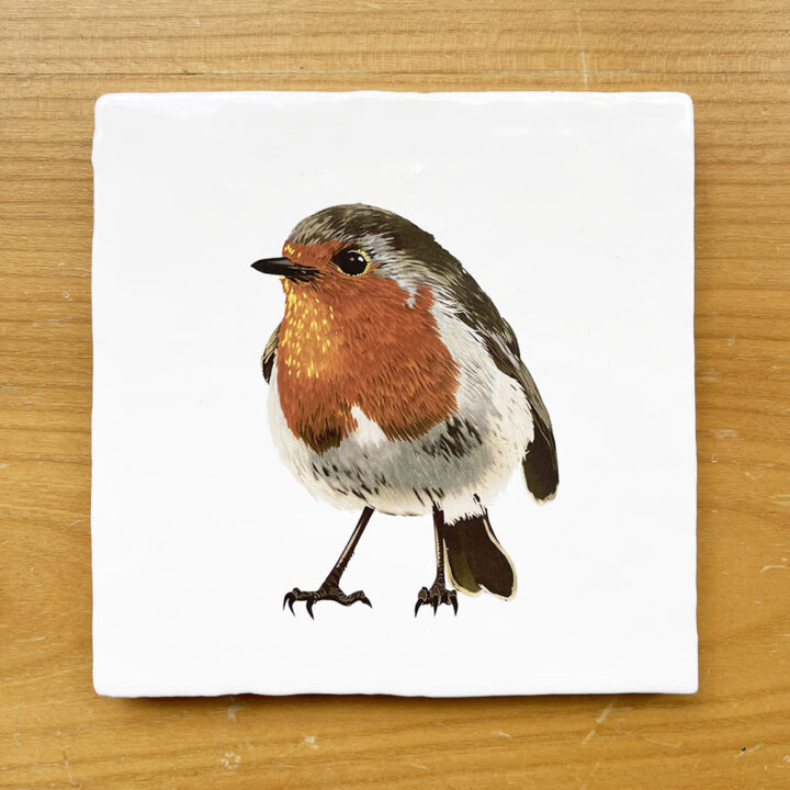 Robin II Vintage Style Tile