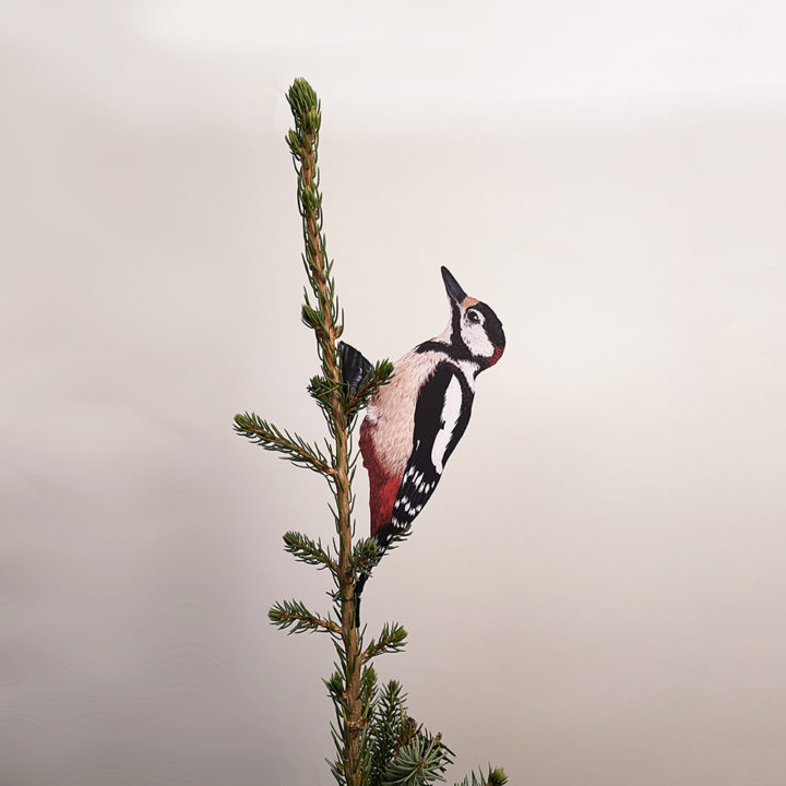Specht Kerstboom Decoratie - Afbeelding 3