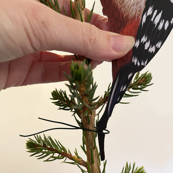 Specht Kerstboom Decoratie - Afbeelding 6