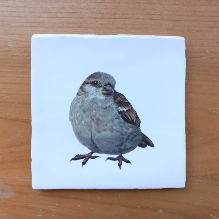 OUTLET ITEM - Tile House Sparrow F