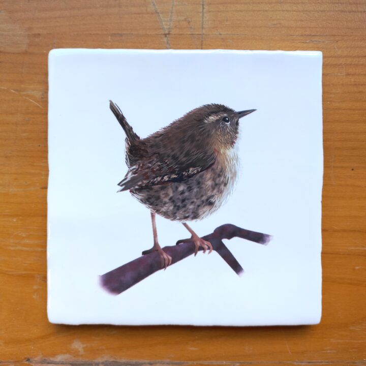OUTLET ITEM - Tile Wren