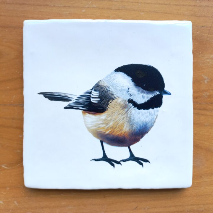 OUTLET ITEM Tegel Chickadee of Matkop A
