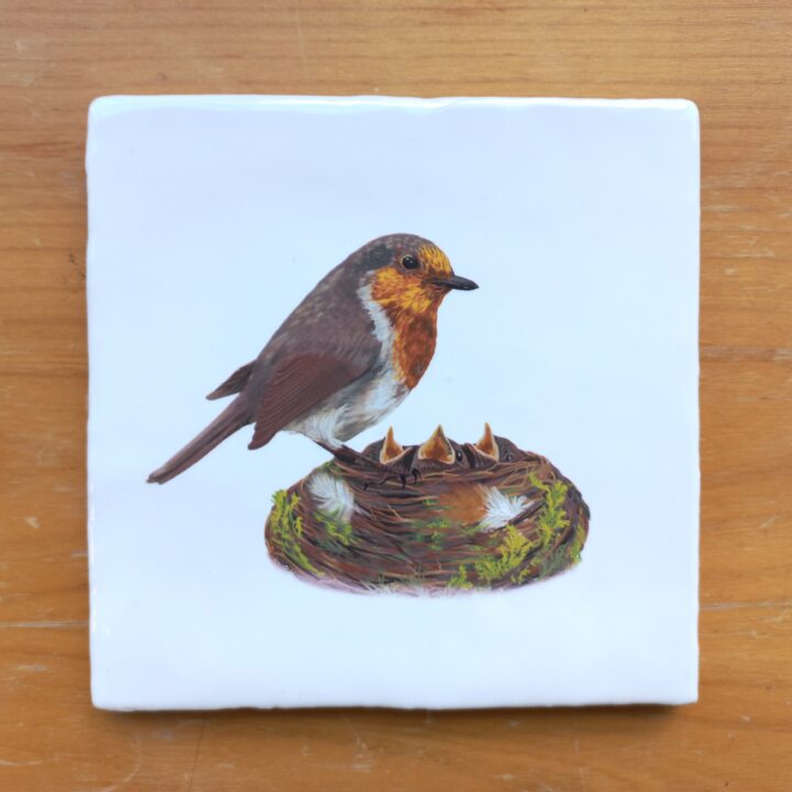 OUTLET ITEM - Tile Robin with Nest