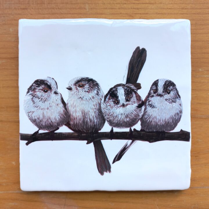 OUTLET ITEM Tegel Staartmezen 4 vogeltjes