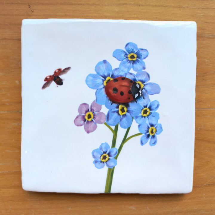 OUTLET ITEM - Tile Ladybug