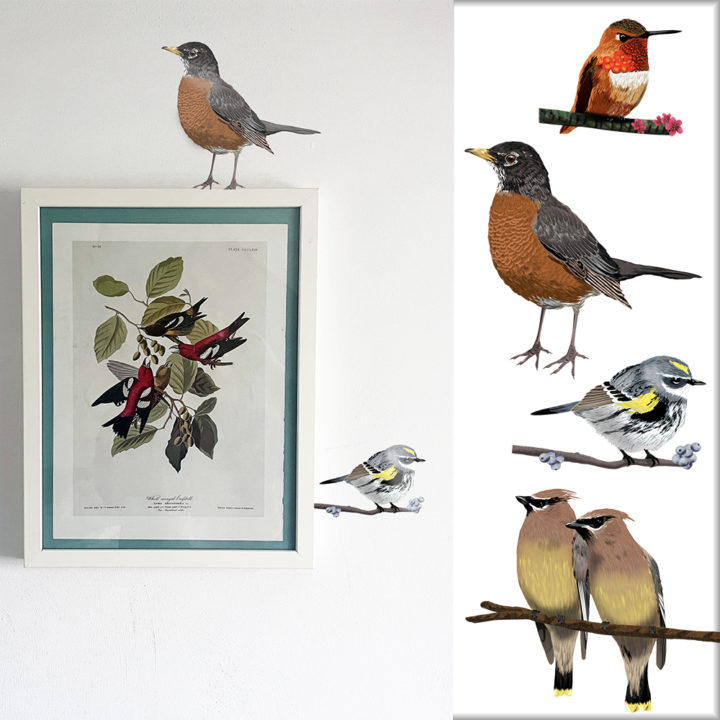 Amerikaanse vogels I Muurstickers