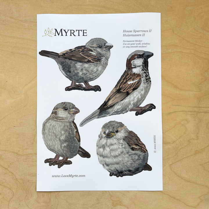 House Sparrows II Wall Stickers - Image 4