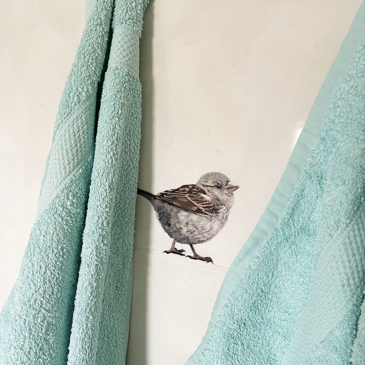 House Sparrows II Wall Stickers - Image 2