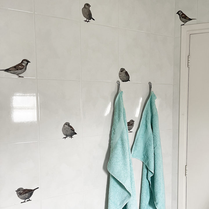 House Sparrows II Wall Stickers - Image 8