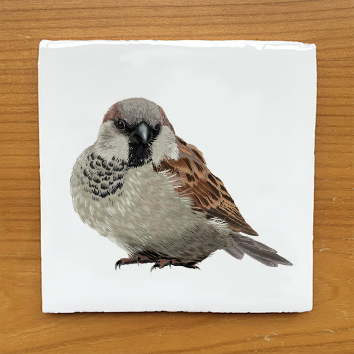 House Sparrow E Vintage Style Tile