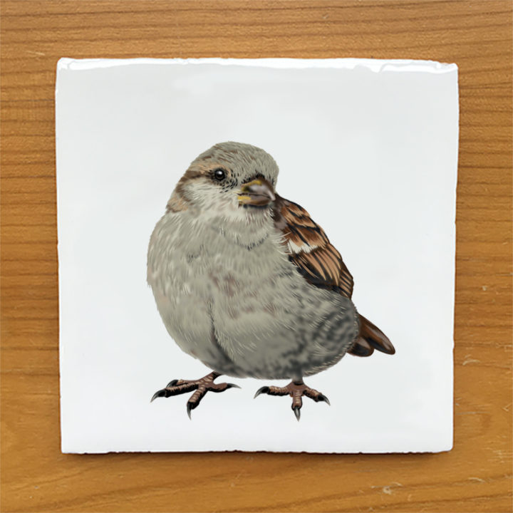 House Sparrow F Vintage Style Tile