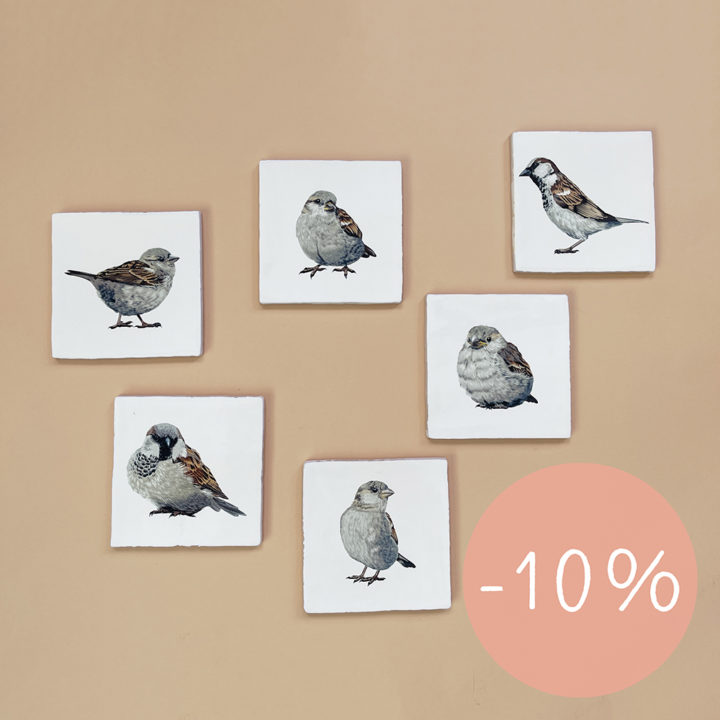 6 tegeltjes - Huismussen