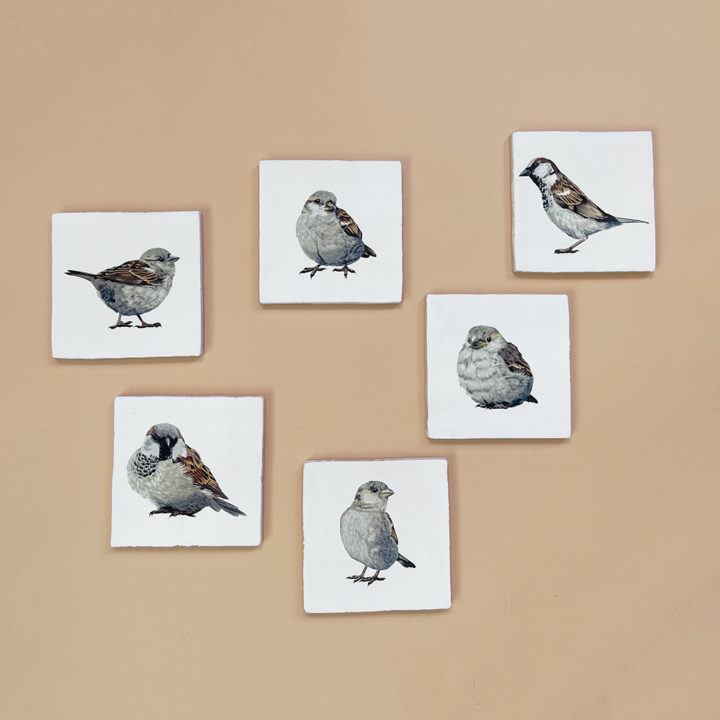 8 tegeltjes - Vlinders - Afbeelding 2