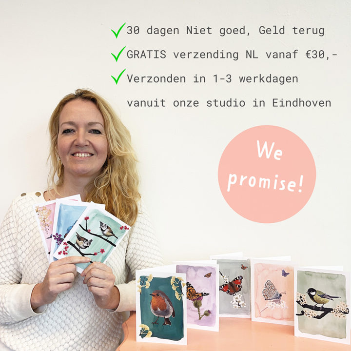 Beautiful Garden Birds - set van 10 kaarten - Afbeelding 8