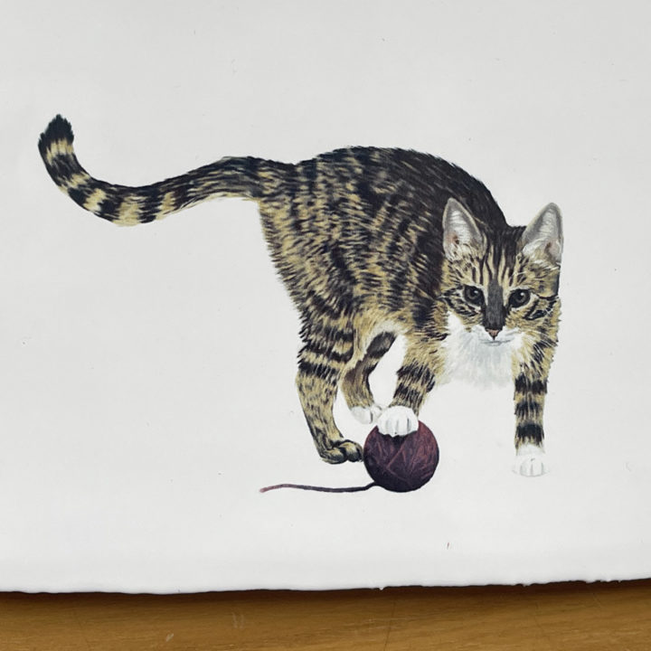 Tabby Kat- Tegeltje - Afbeelding 5