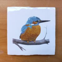 OUTLET ITEM - Tile Kingfisher