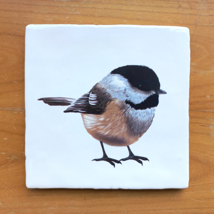 OUTLET ITEM - Tile Chickadee