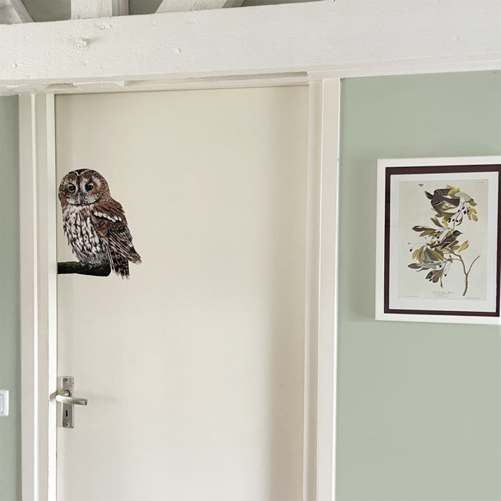 Tawny Owl Wall Sticker - Image 3
