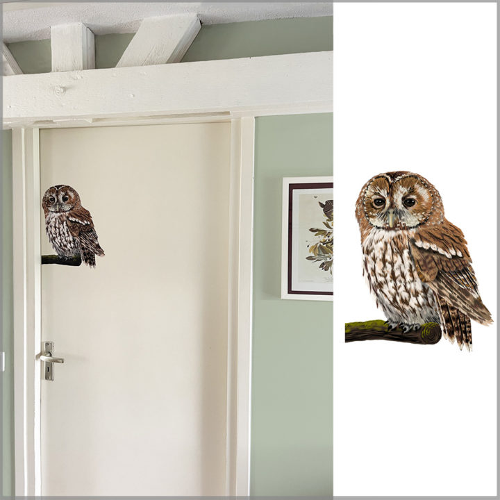 Tawny Owl Wall Sticker