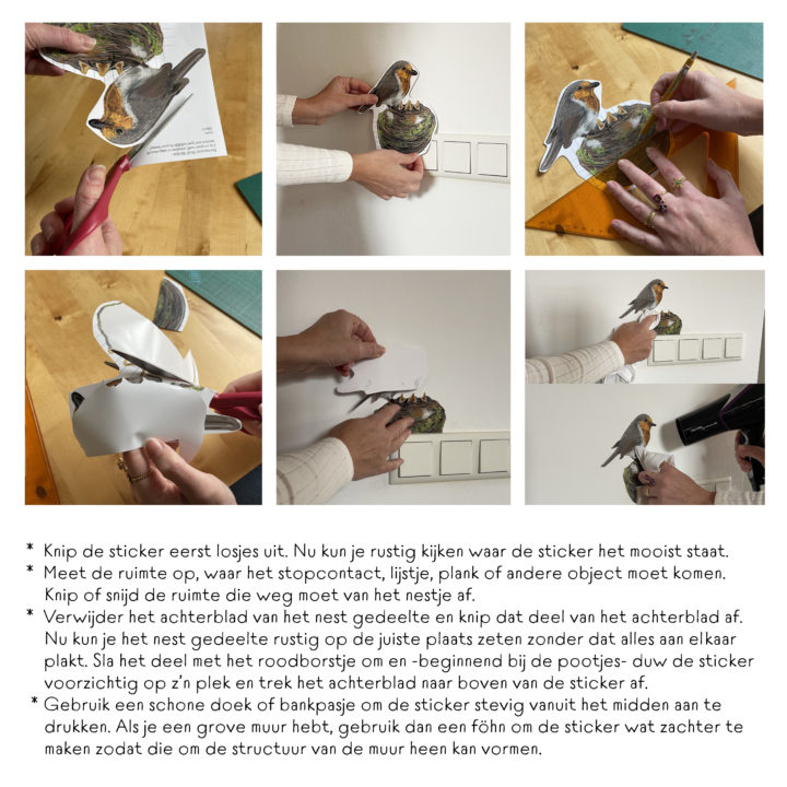 Roodborst met Nest Muursticker - Afbeelding 5
