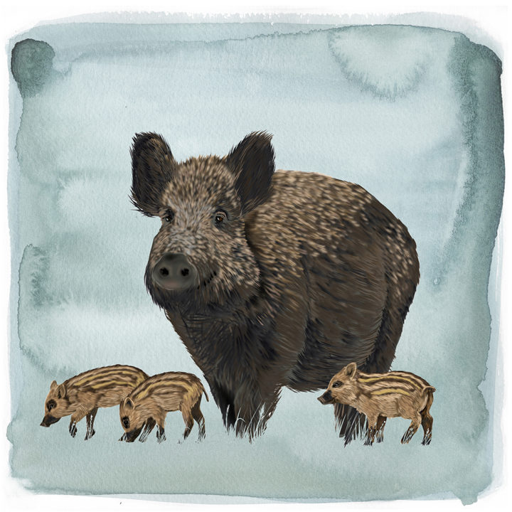 Everzwijn met biggetjes Art Print