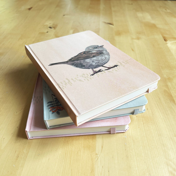 House Sparrow Notebook - Image 6
