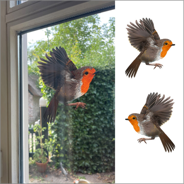 Robin Double-sided Window Sticker