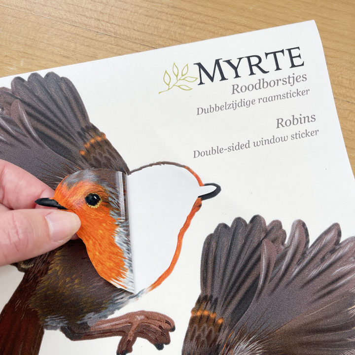 Robin Double-sided Window Sticker - Image 2