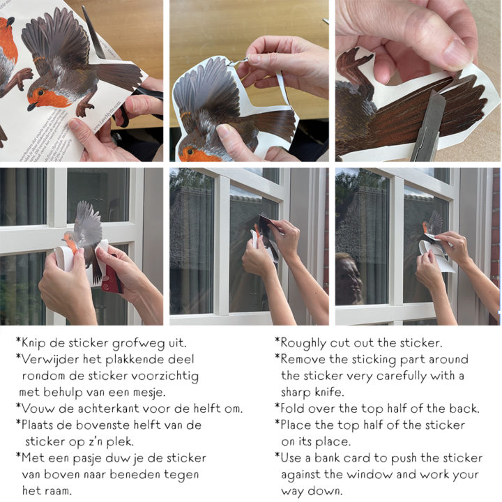 Blue tit Double-sided Window Sticker - Image 6
