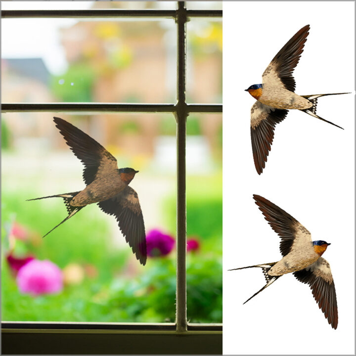 Barn Swallow Double-sided Window Sticker
