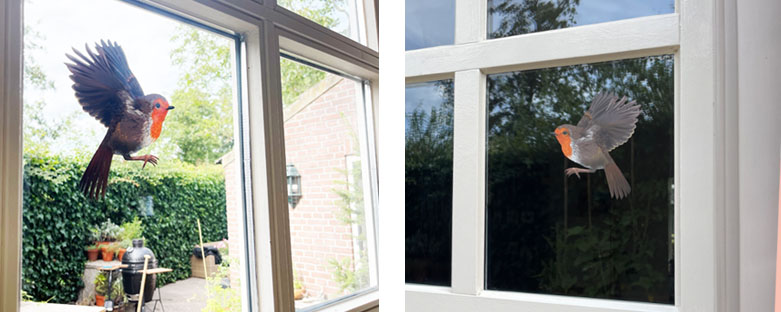 Window Decor