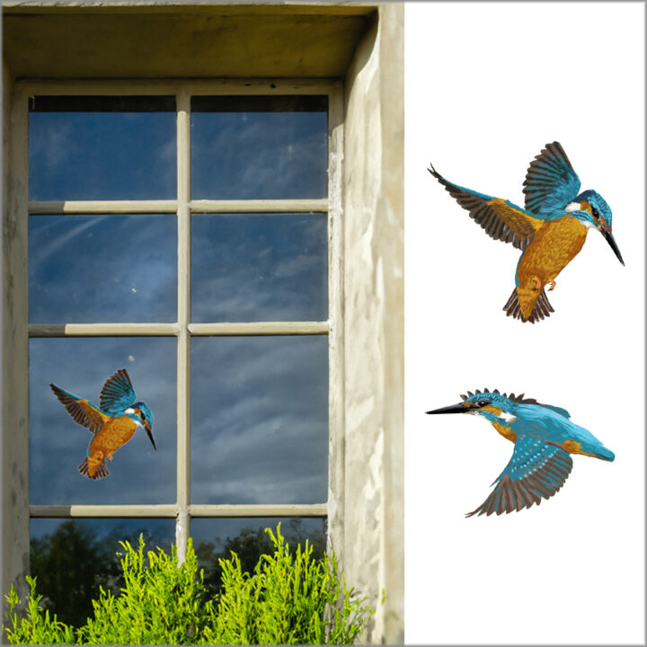 Kingfisher Double-sided Window Sticker