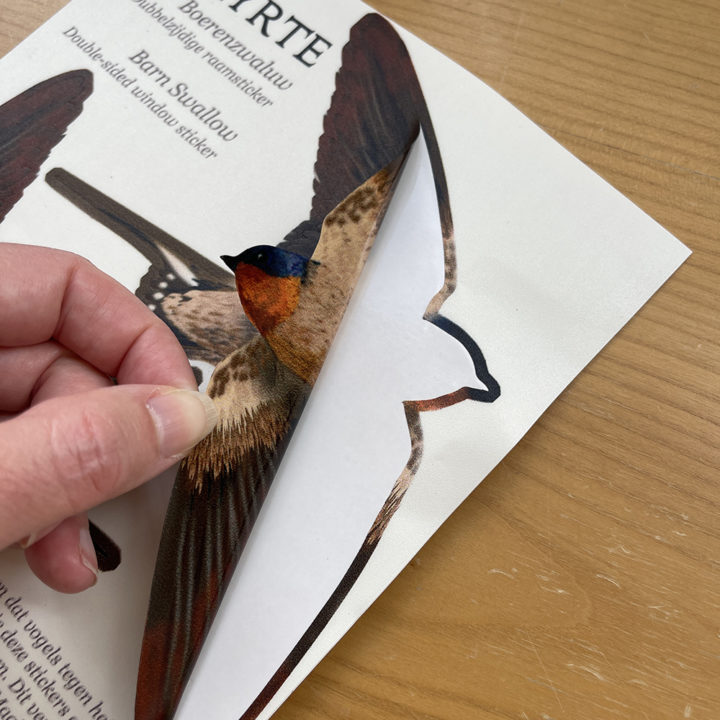 Barn Swallow Double-sided Window Sticker - Image 2