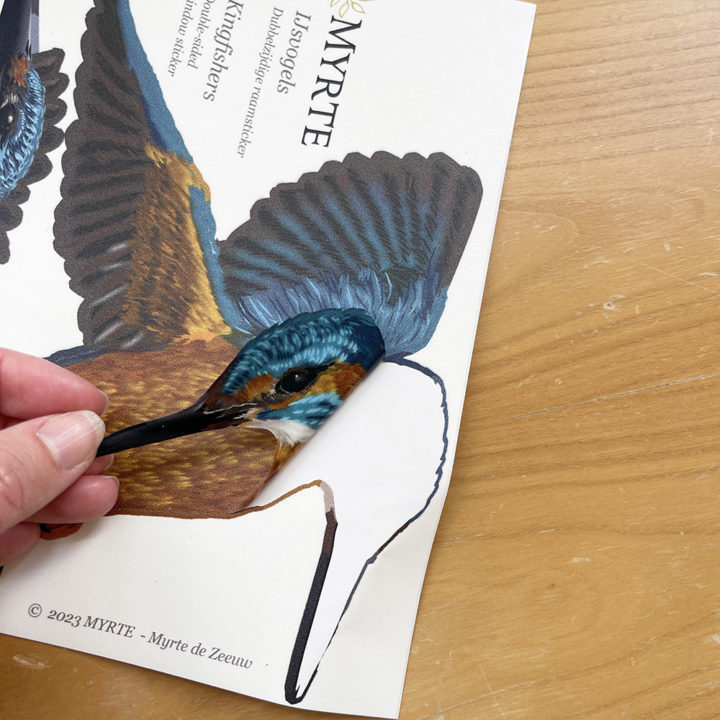 Kingfisher Double-sided Window Sticker - Image 2