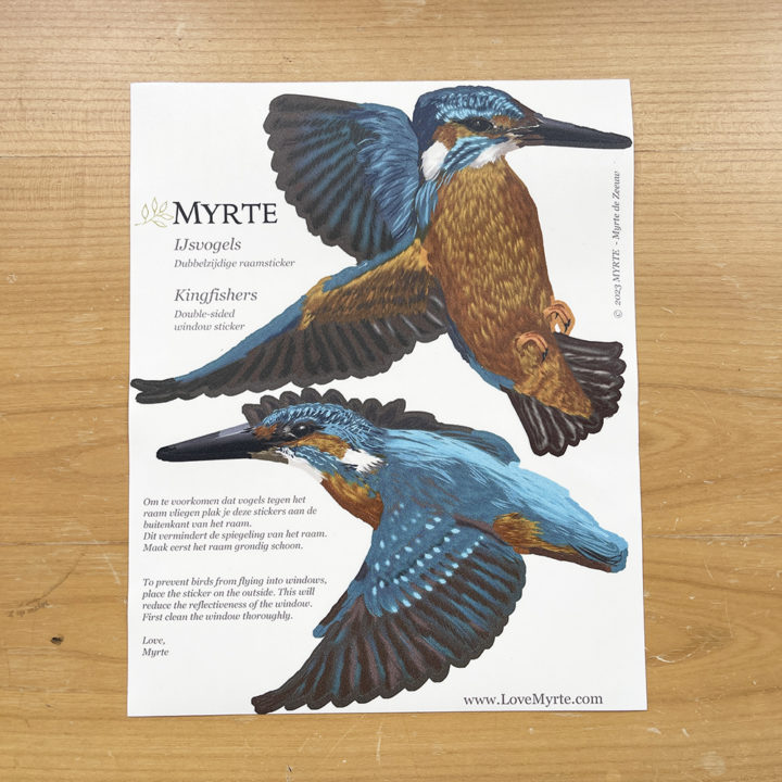 Kingfisher Double-sided Window Sticker - Image 3