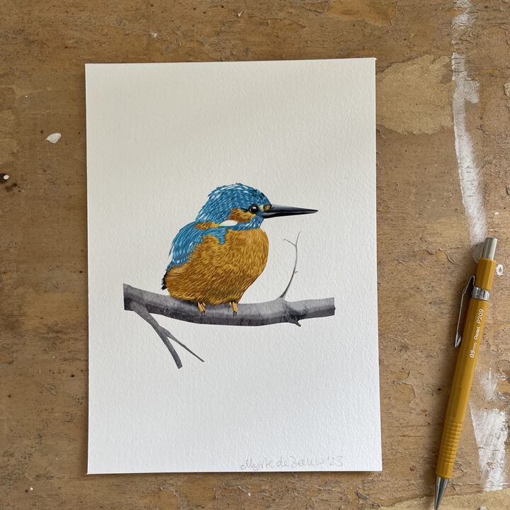 Kingfisher on White Art Print - Image 2