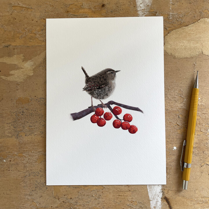 Wren on White Art Print - Image 2